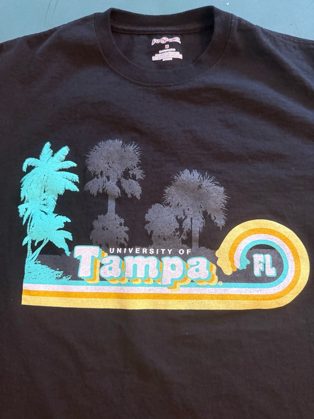 University of Tampa T-Shirt